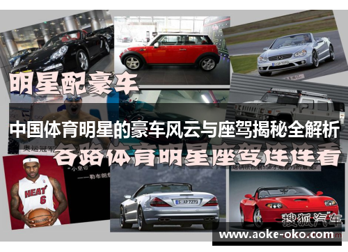 中国体育明星的豪车风云与座驾揭秘全解析