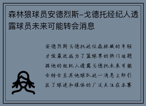 森林狼球员安德烈斯-戈德托经纪人透露球员未来可能转会消息